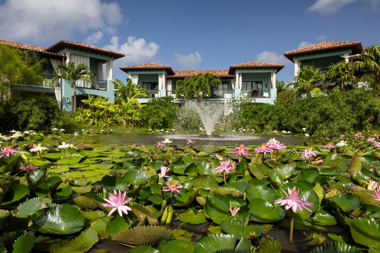 Lover's Lagoon with lily pads at Sandals Grenada